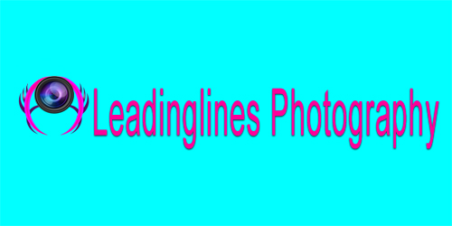 Logo Design by Arafin hasan for Leadinglines Photography Pte. Ltd. | Design #2049227