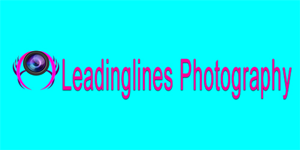 Logo Design by Arafin hasan