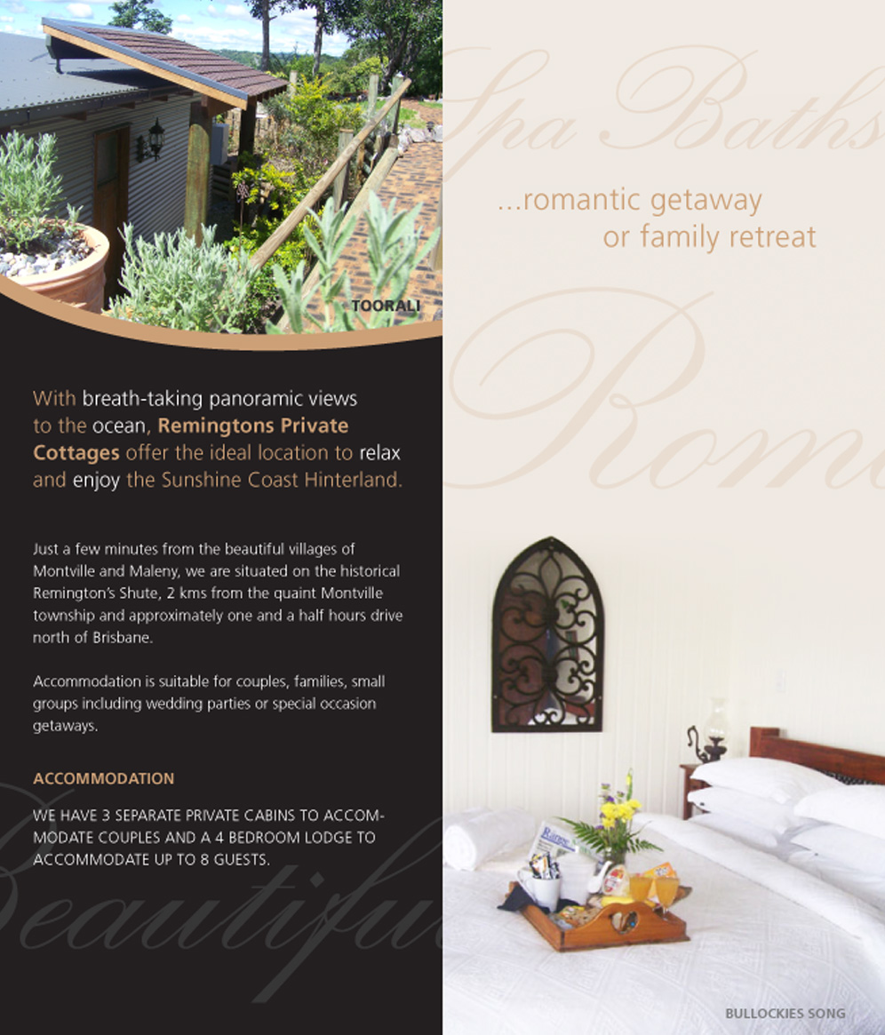 Brochure Design by Elaine Volker for this project | Design #2070081