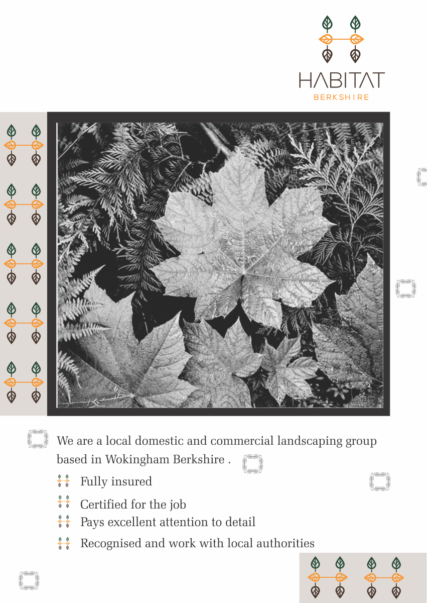 Flyer-Design von duragbemi für dieses Projekt | Design #9386928