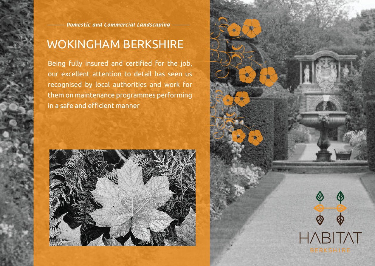 Flyer-Design von bm für dieses Projekt | Design #9342426