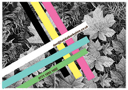 Flyer Design by chelseasmile for this project | Design: #9371638