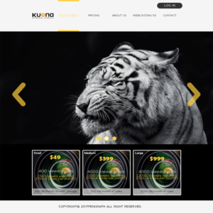 Web Design by pengraphteam