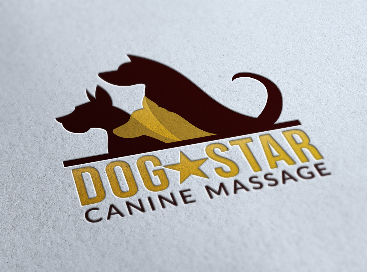 Diseño de Logo por vp.salim para este proyecto | Diseño #9444536