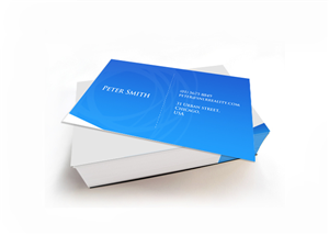 Business Card Design by RC Agency for SNL Realty | Design: #2059511