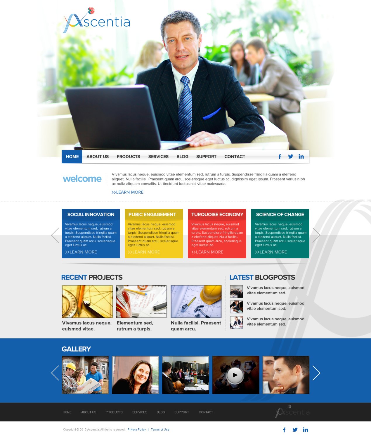 Wordpress Design by TechWise for Ascentia | Design #2094042