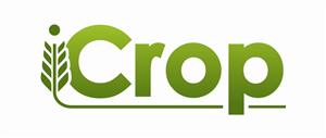 Logo Design by Belinda Seaman