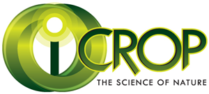 Logo Design by view18