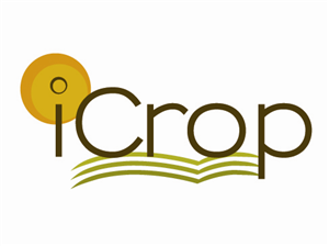 Logo Design by Cassandra