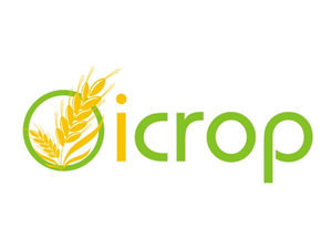 Logo Design by Hafz