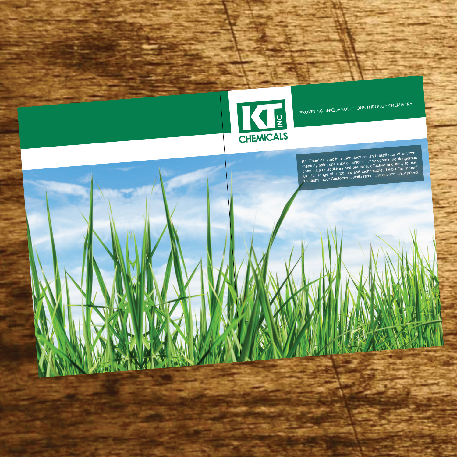 Diseño de Brochure por GMWIRE para este proyecto | Diseño #9382092