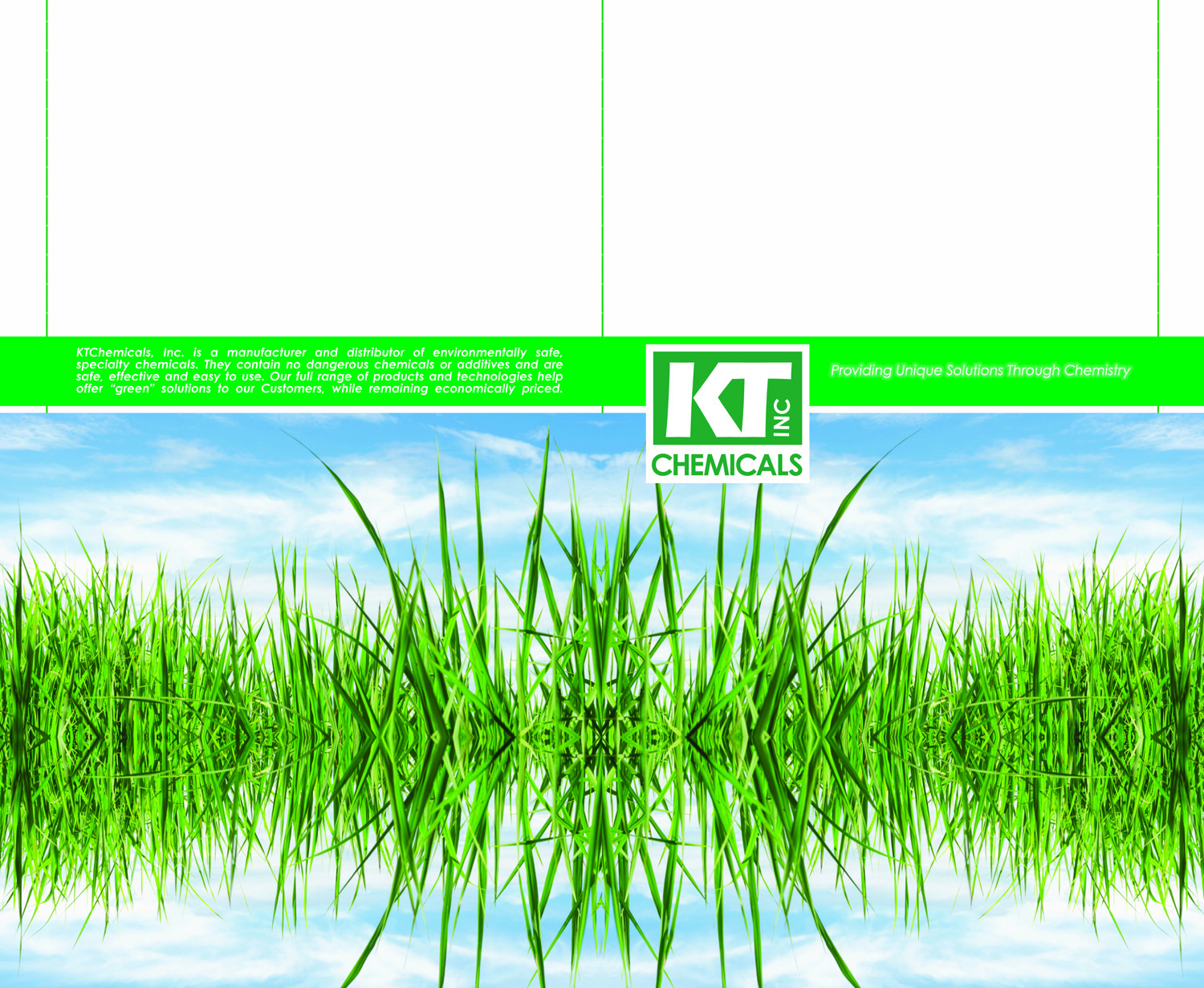 Brochure Design by bleuthai.designs for this project | Design #9368426