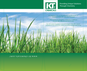 Brochure Design by clarebratina