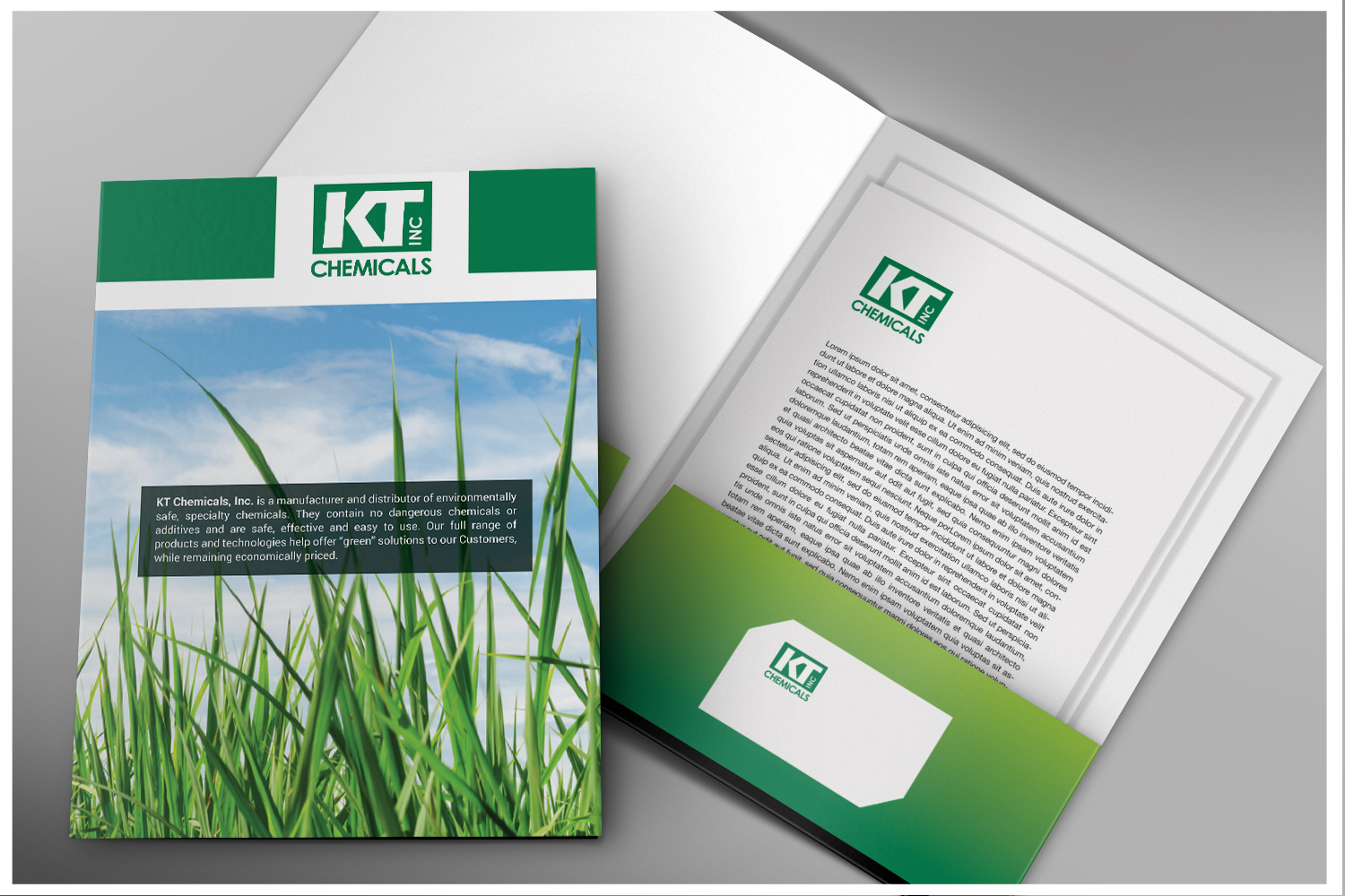 Brochure Design by Mulugeta for this project | Design #9376834