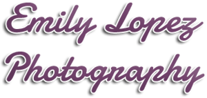 Logo Design by Froken Spud
