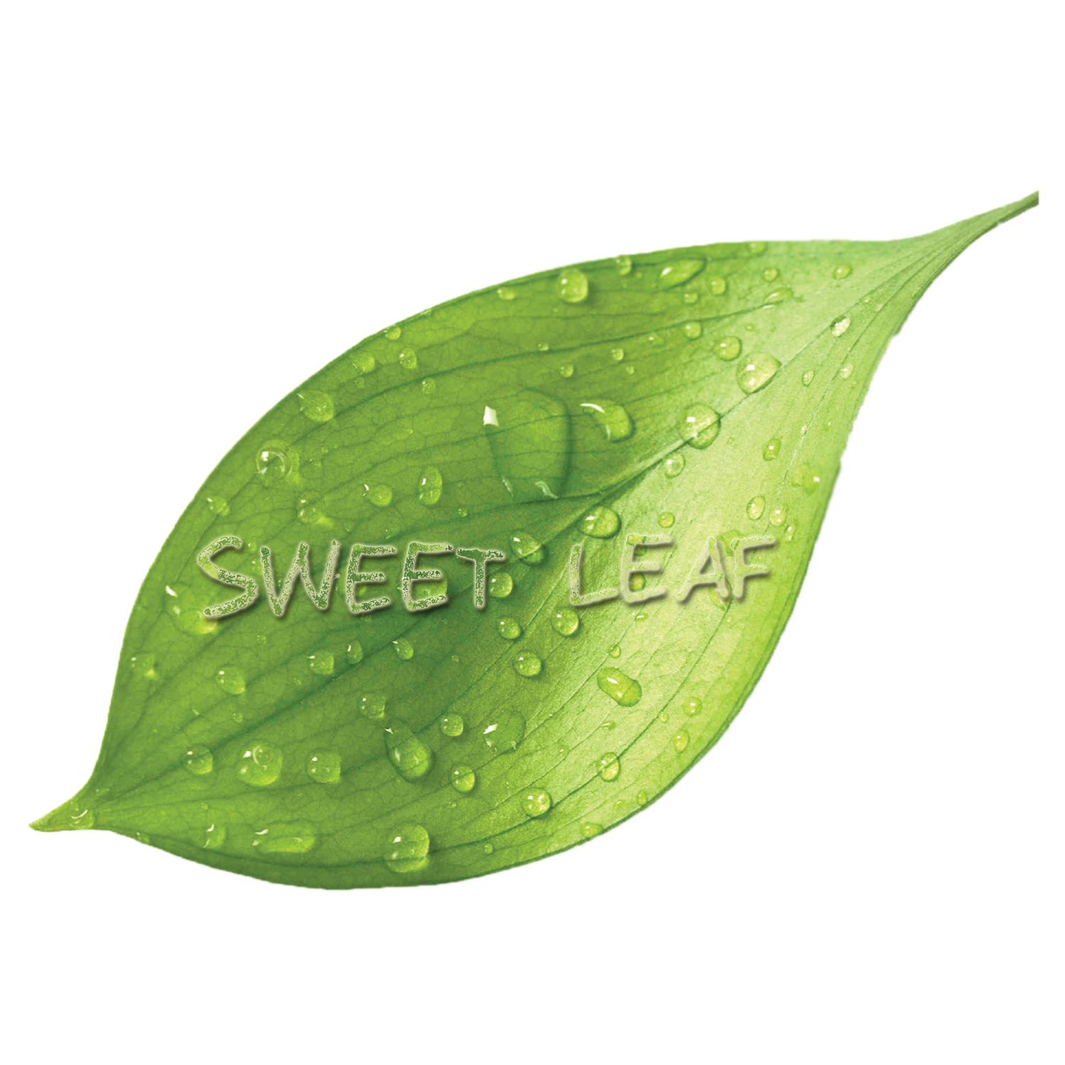 Logo Design by r.sehrish for this project | Design #9359543