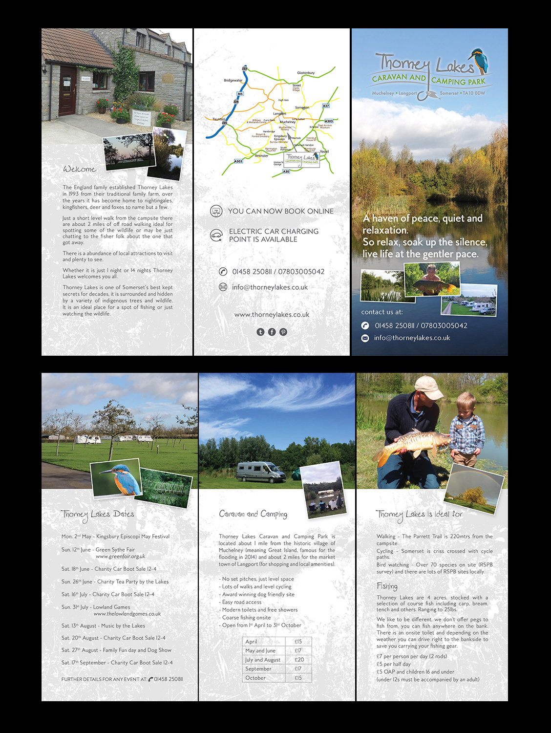 Flyer Design by senja for this project | Design #10025773