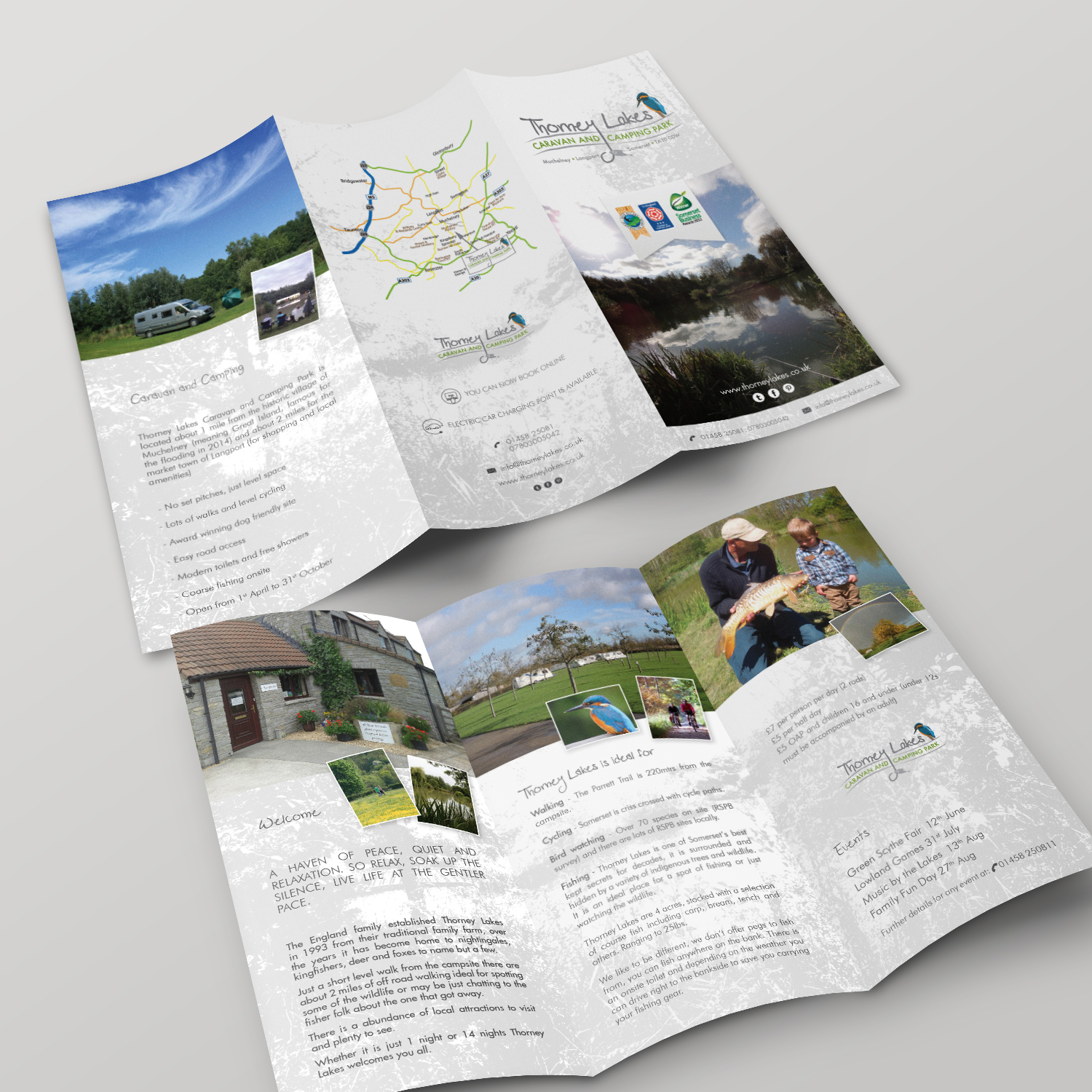 Diseño de Flyer por senja para este proyecto | Diseño #9389013