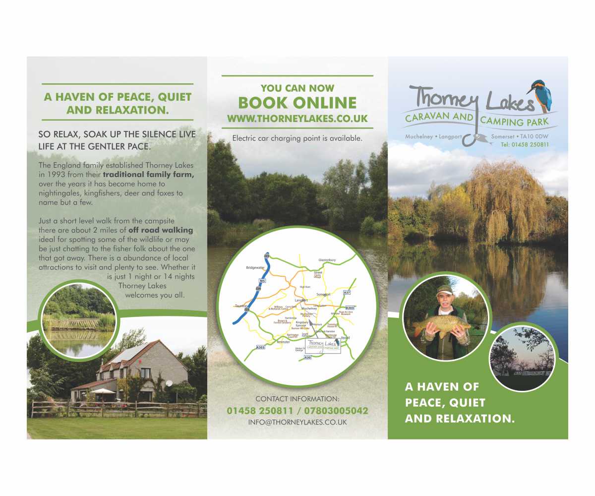 Flyer Design by Cut and Glue for this project | Design #9397788