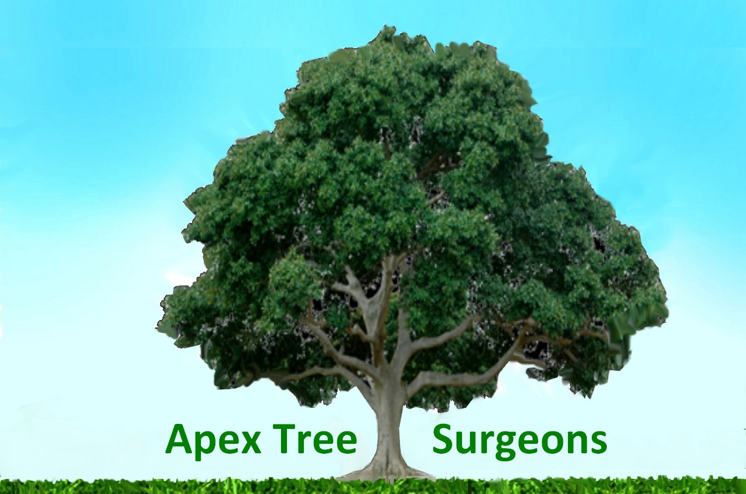Design de Logo par designerone pour apex tree surgeons | Design #9385170