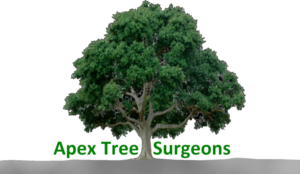 Diseño de Logo por designerone para apex tree surgeons | Diseño: #9385177
