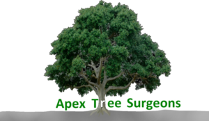 Diseño de Logo por designerone para apex tree surgeons | Diseño: #9385186