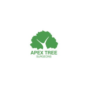 Logo Design by Creativemedia Solution