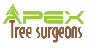 Diseño de Logo por kirkalan para apex tree surgeons | Diseño: #9379010