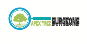 Design de Logo par ktsanhtung28031995 pour apex tree surgeons | Design #9375833