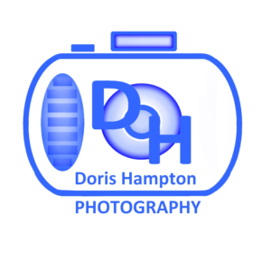 Logo Design by designerone for this project | Design: #9409271
