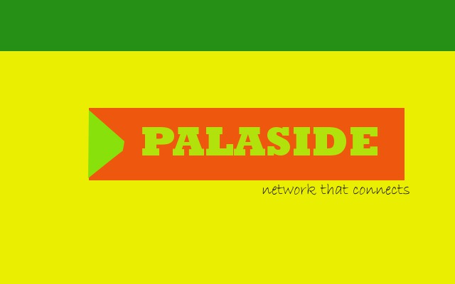 Design de Logo par custom_desinger pour Palisade Capital Corp | Design #2082312