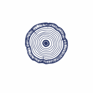 Logo Design by Toluwalope Yusuf for Blue Caribou Design | Design: #9390600