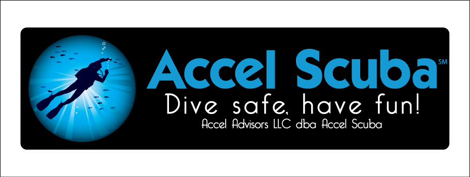 Logo-Design von gauravgraphy für Accel Advisors LLC | Design #2467612