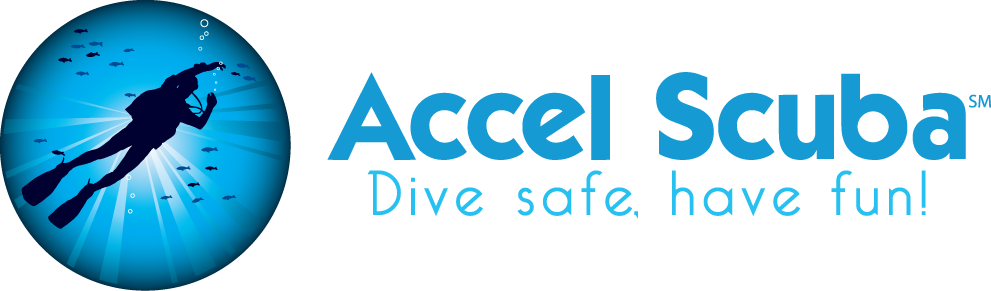 Logo-Design von gauravgraphy für Accel Advisors LLC | Design #2500112