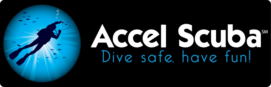 Logo-Design von gauravgraphy für Accel Advisors LLC | Design #2500119