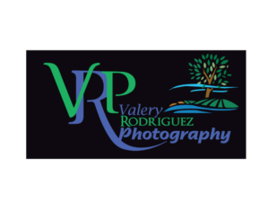 Logo Design by rabinson