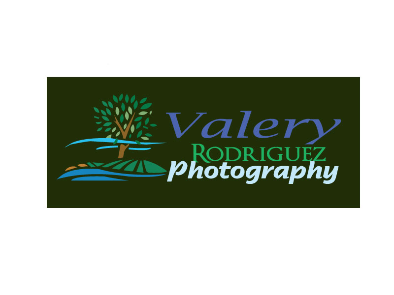 Logo Design by rabinson for this project | Design #9450731