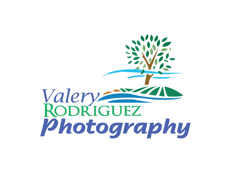 Logo Design by rabinson for this project | Design #9450739