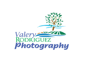 Logo Design by rabinson for this project | Design: #9450739