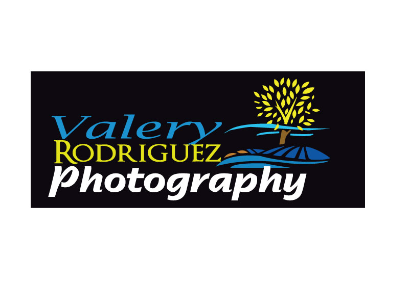 Diseño de Logo por rabinson para este proyecto | Diseño #9450942