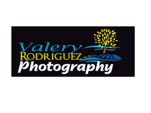Logo Design by rabinson for this project | Design: #9450942