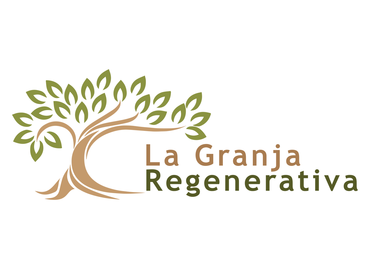 Logo Design by Graphicient for this project | Design #9578478