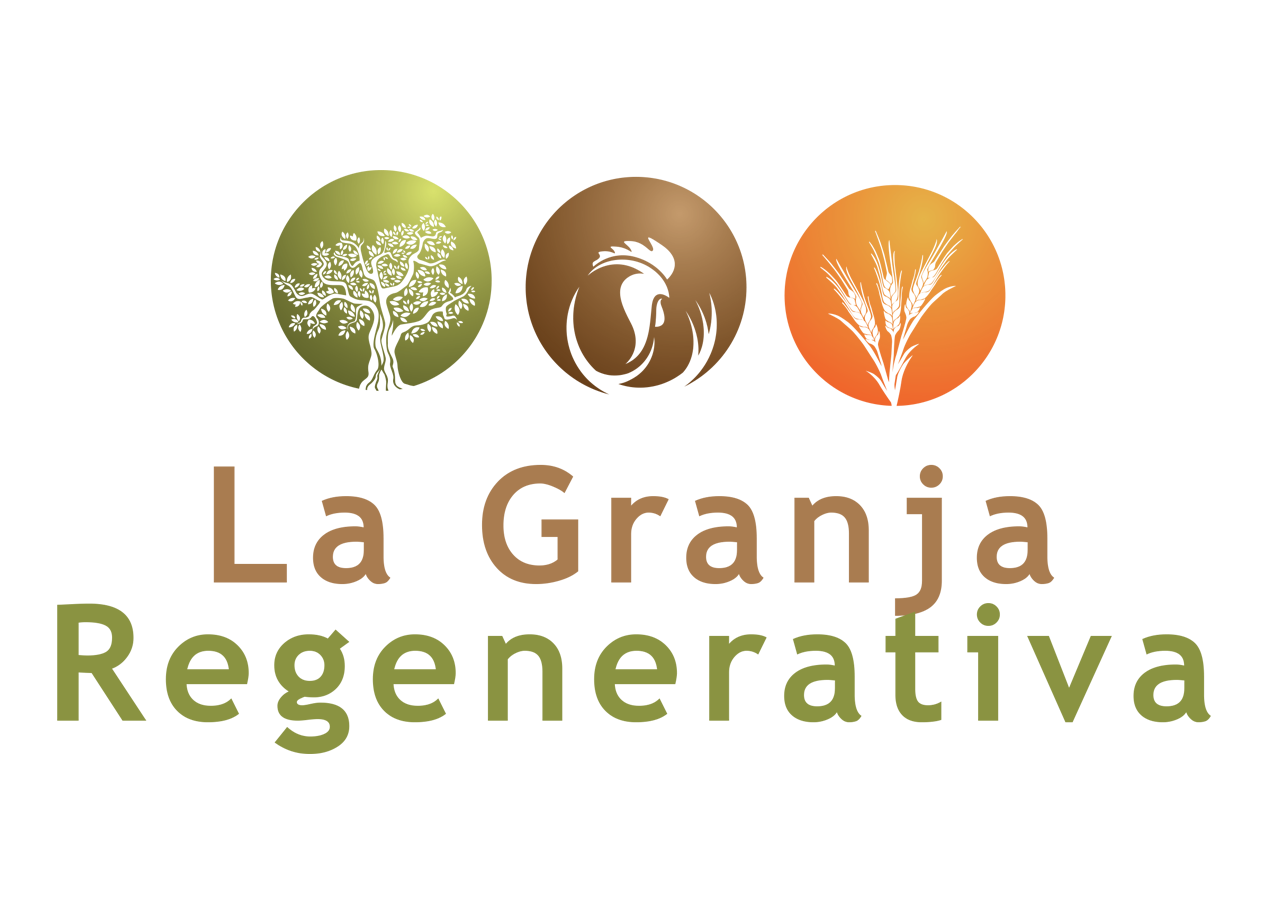Logo Design by Graphicient for this project | Design #9578481
