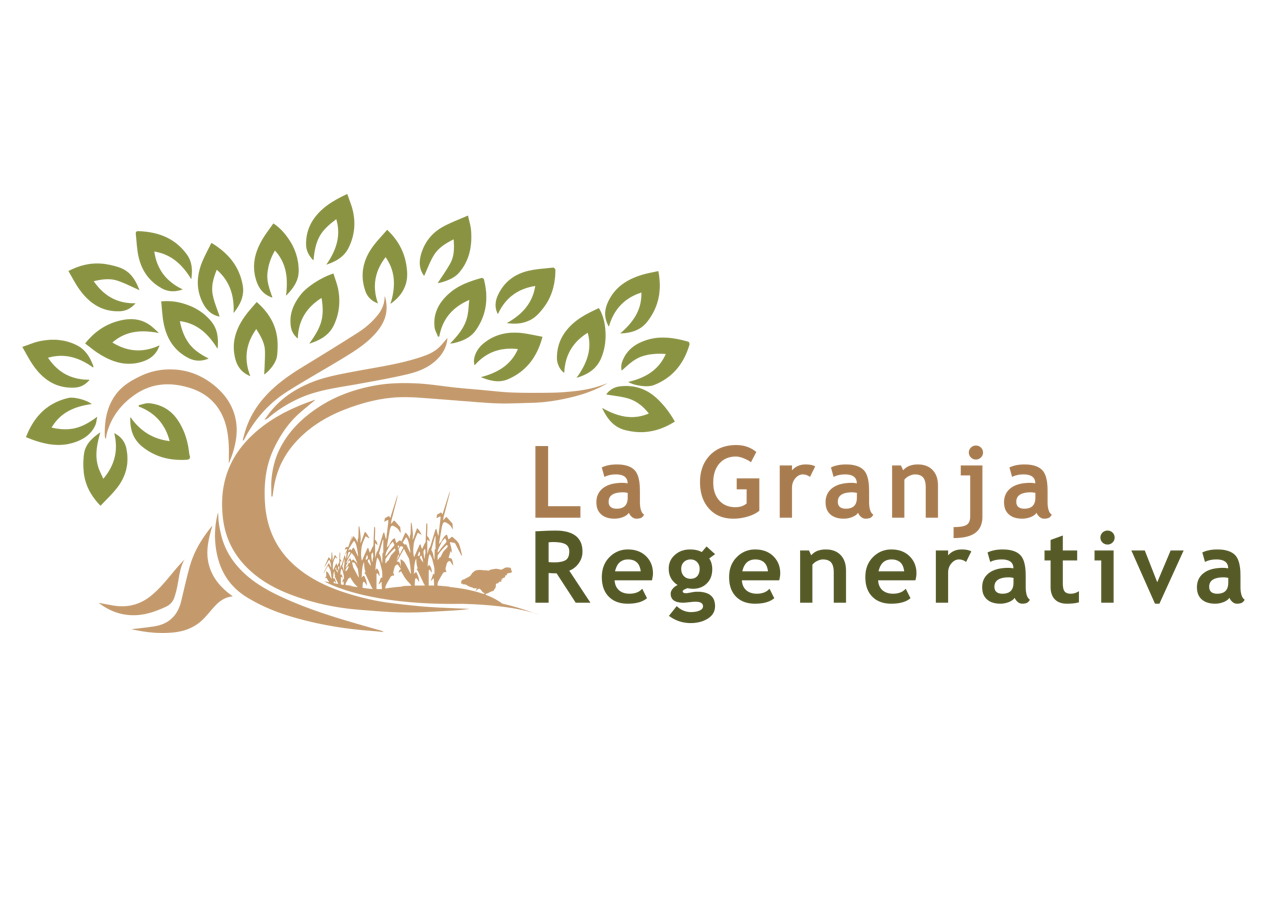 Logo Design by Graphicient for this project | Design #9637579