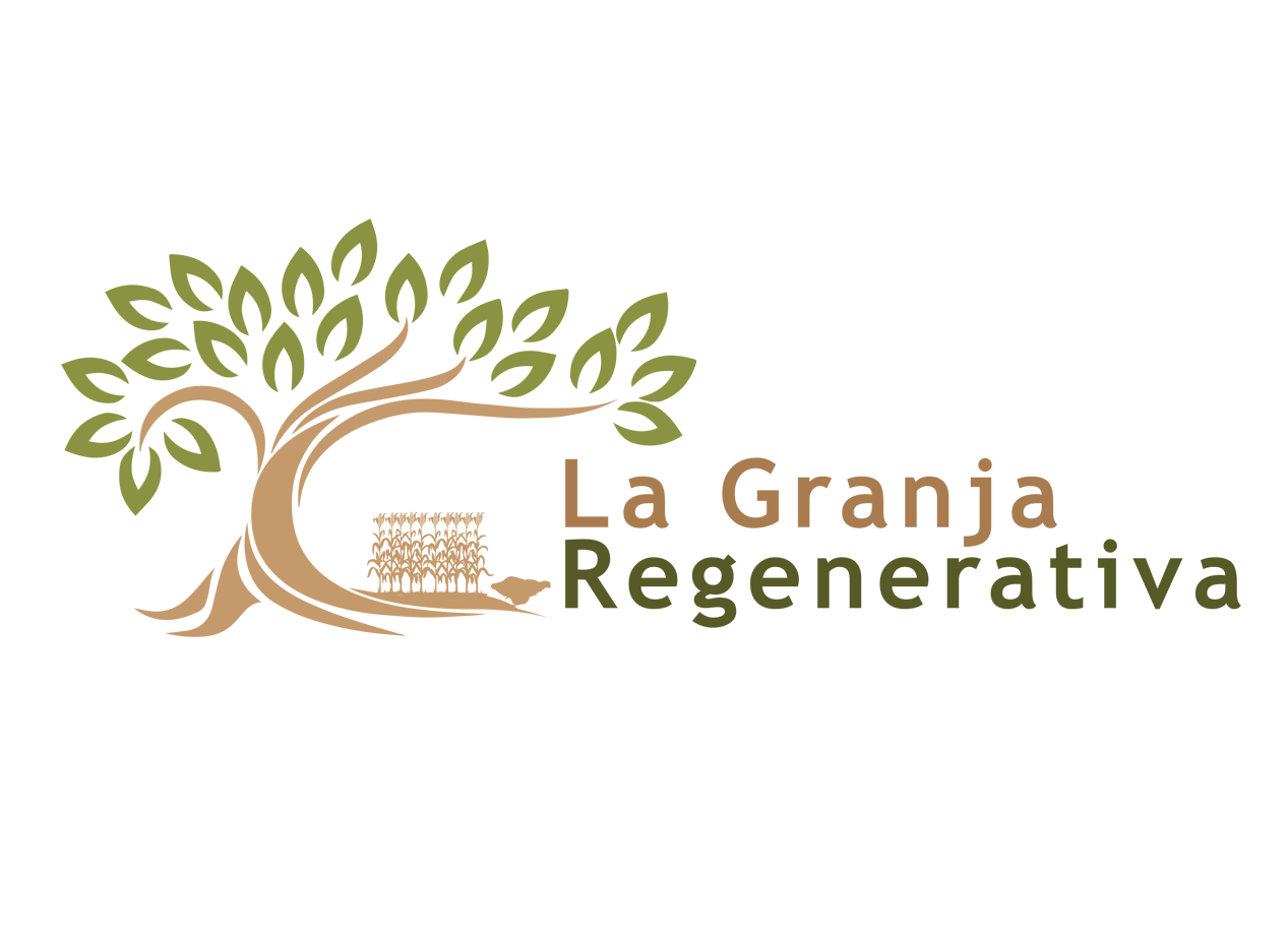 Logo Design by Graphicient for this project | Design #9707817