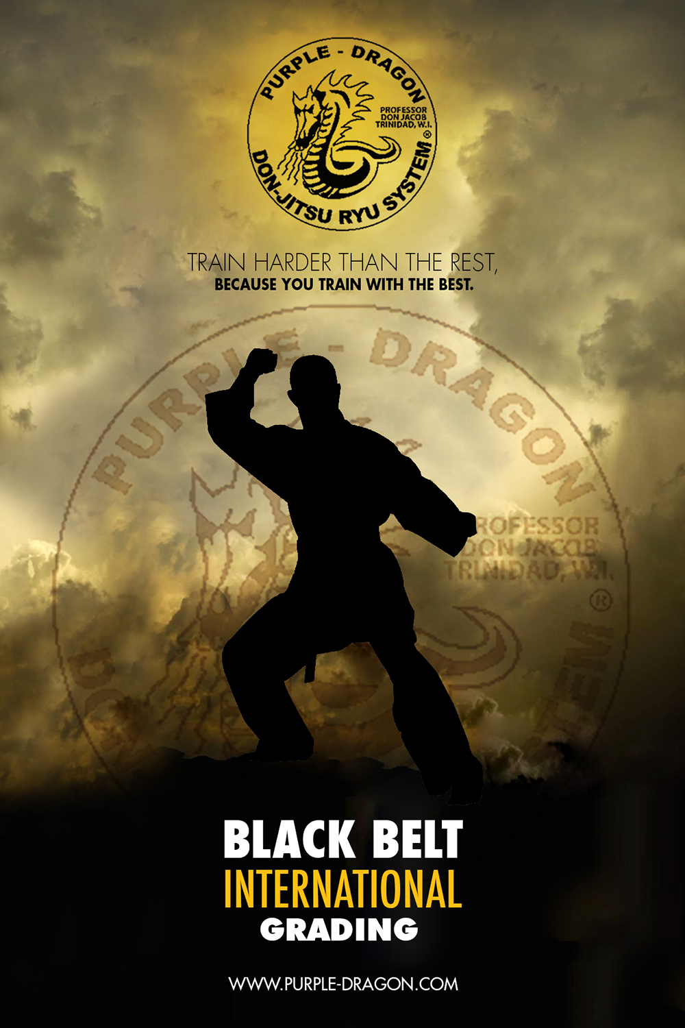 Poster Design by apolgv for this project | Design #9461201