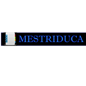 Logo Design by Imranmubashir for Mestreduca | Design: #2071153