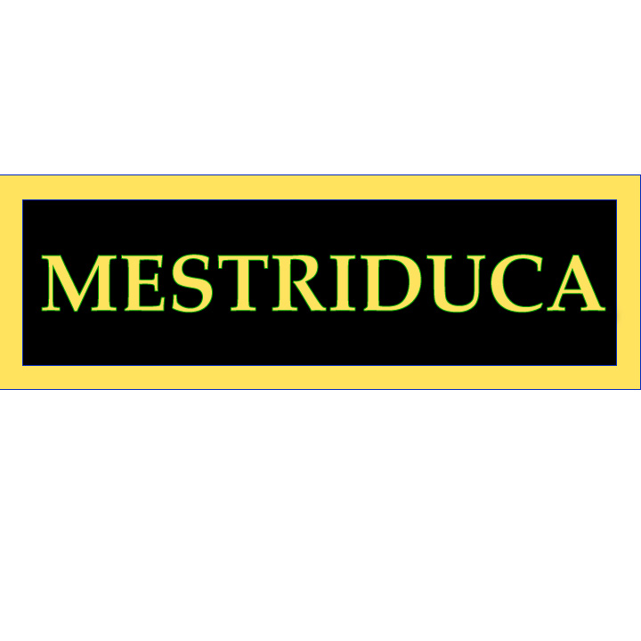 Logo Design by Imranmubashir for Mestreduca | Design #2071204