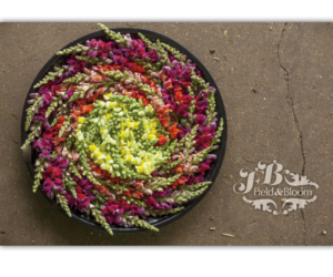Logo Design by Bittersweet for Field and Bloom | Design: #9402621
