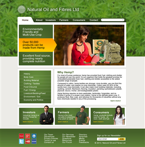 Web Design by hammer